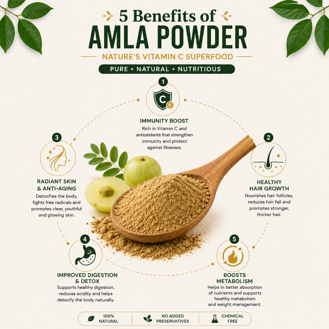 Amla Powder 3