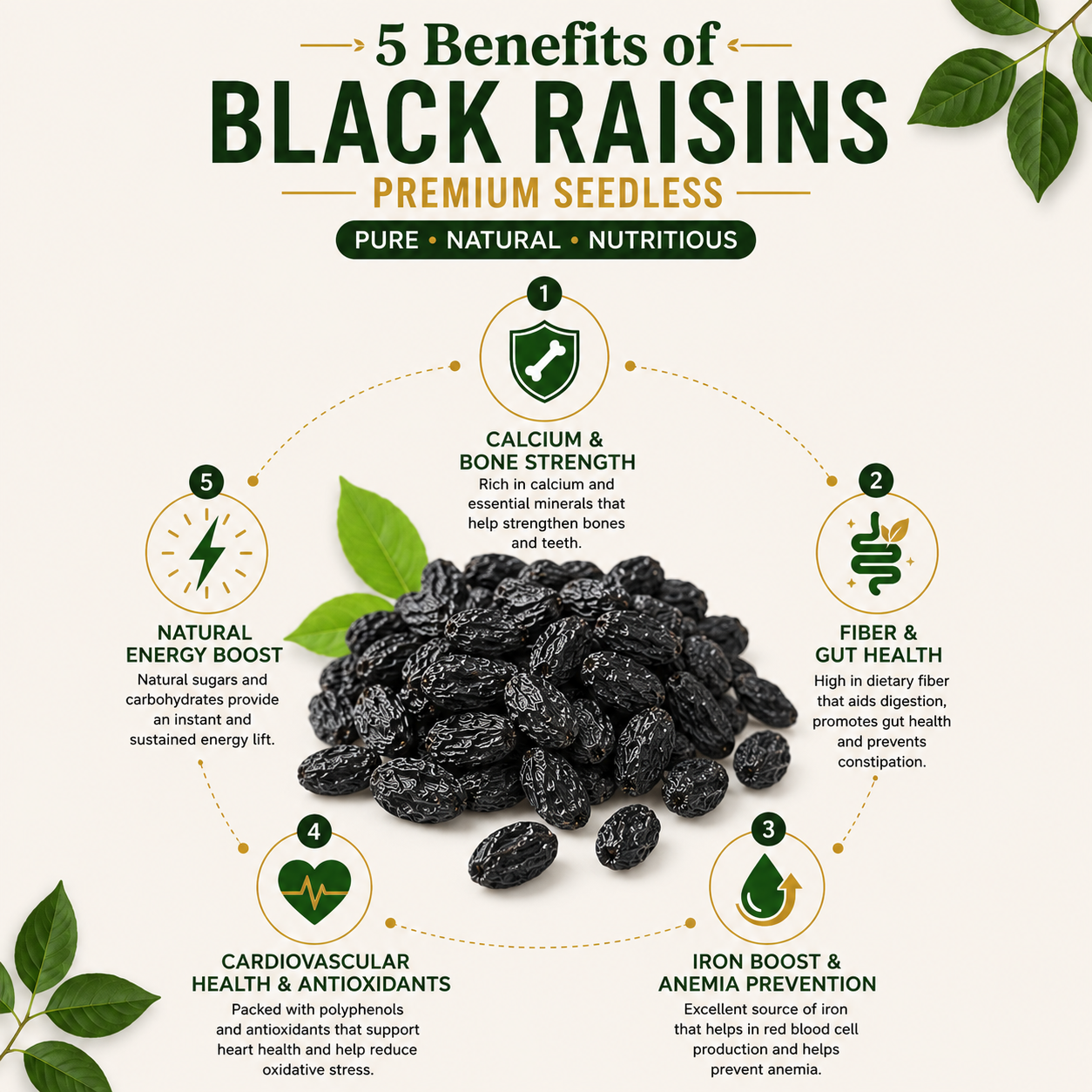 Black Raisins Premium Seedless 3