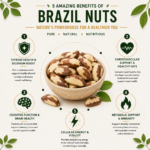 Brazilian Nuts 1
