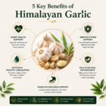 Himalayan Garlic 1