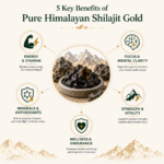 Himalayan Shilajit Gold 1
