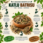 Katlu Batrisu-1