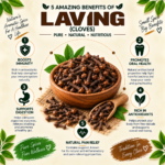 Laving-1