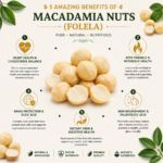 Macadamia Nuts (Folela) 1