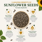 Sunflower Seeds 1