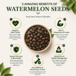 Watermelon Seeds 2